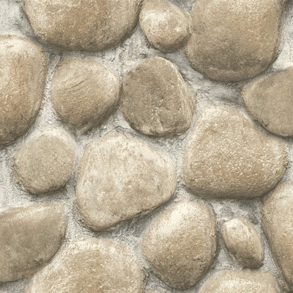 Yellowstone Root Rock Wallpaper