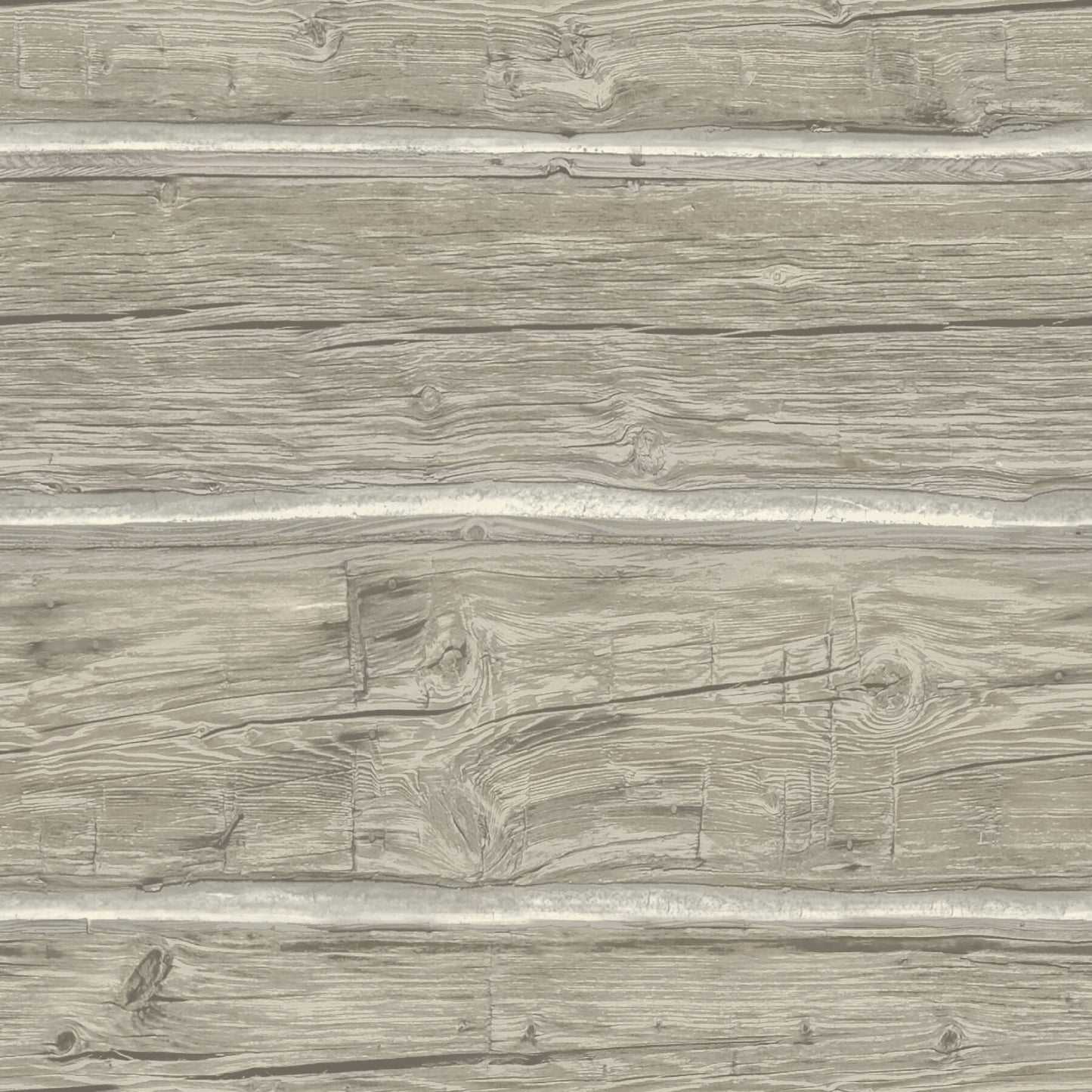Yellowstone Lodgepole Wallpaper