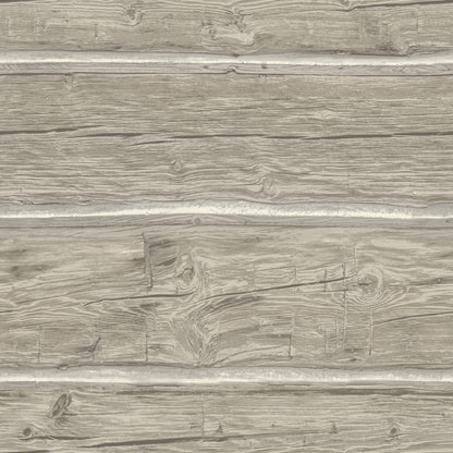 Yellowstone Lodgepole Wallpaper