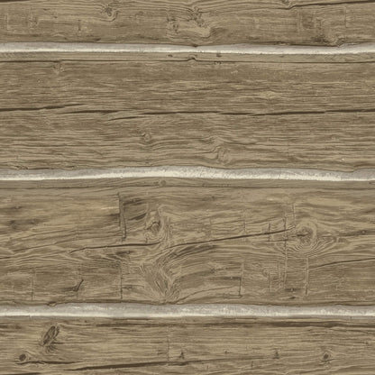 Yellowstone Lodgepole Wallpaper