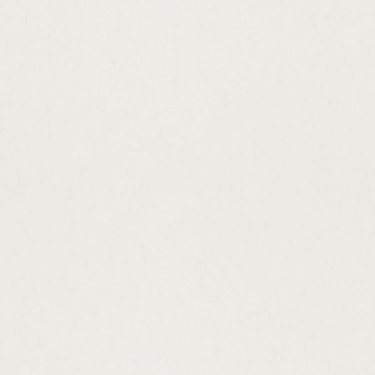 A-Street Prints Hidden Treasures Parget Aggskal Wallpaper - Eggshell, solid