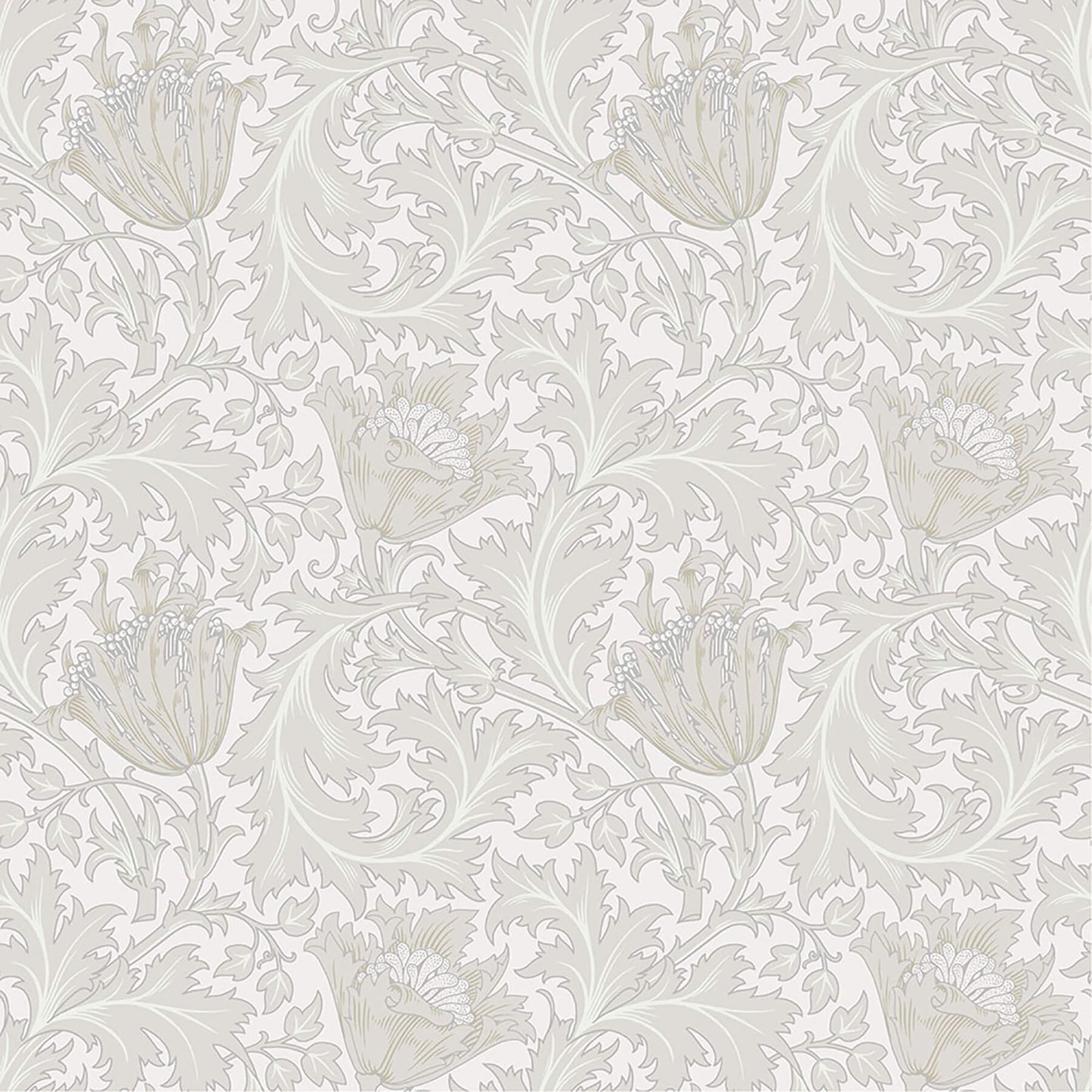Hidden Treasures Anemone Wallpaper