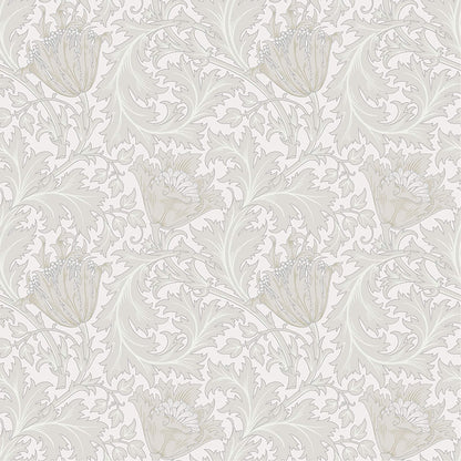 Hidden Treasures Anemone Wallpaper