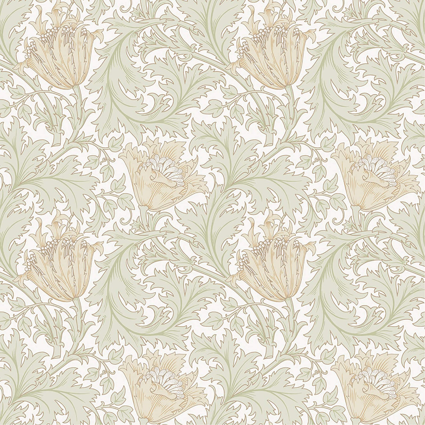 Hidden Treasures Anemone Wallpaper