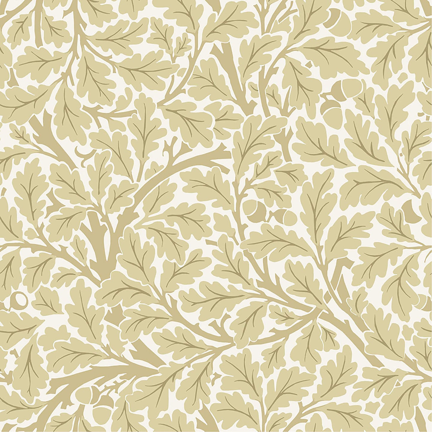 Hidden Treasures Oak Tree Wallpaper