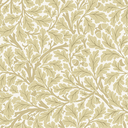 Hidden Treasures Oak Tree Wallpaper