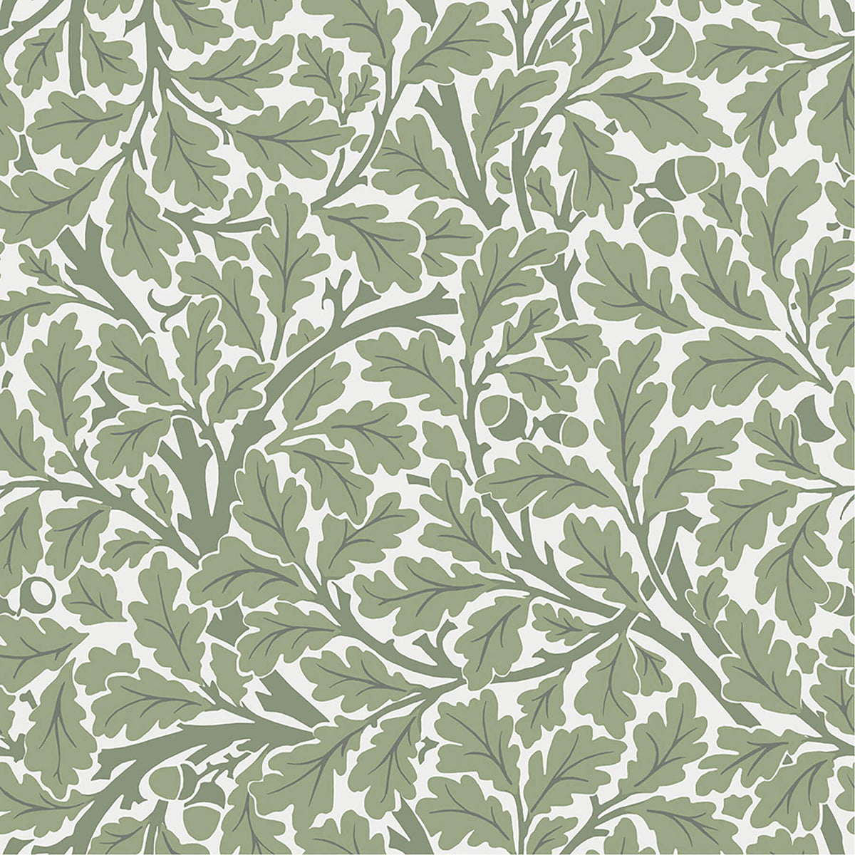 A-Street Prints Hidden Treasures Oak Tree Wallpaper - Green, botanical in black, yellow, purple