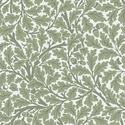 A-Street Prints Hidden Treasures Oak Tree Wallpaper - Green, botanical in black, yellow, purple
