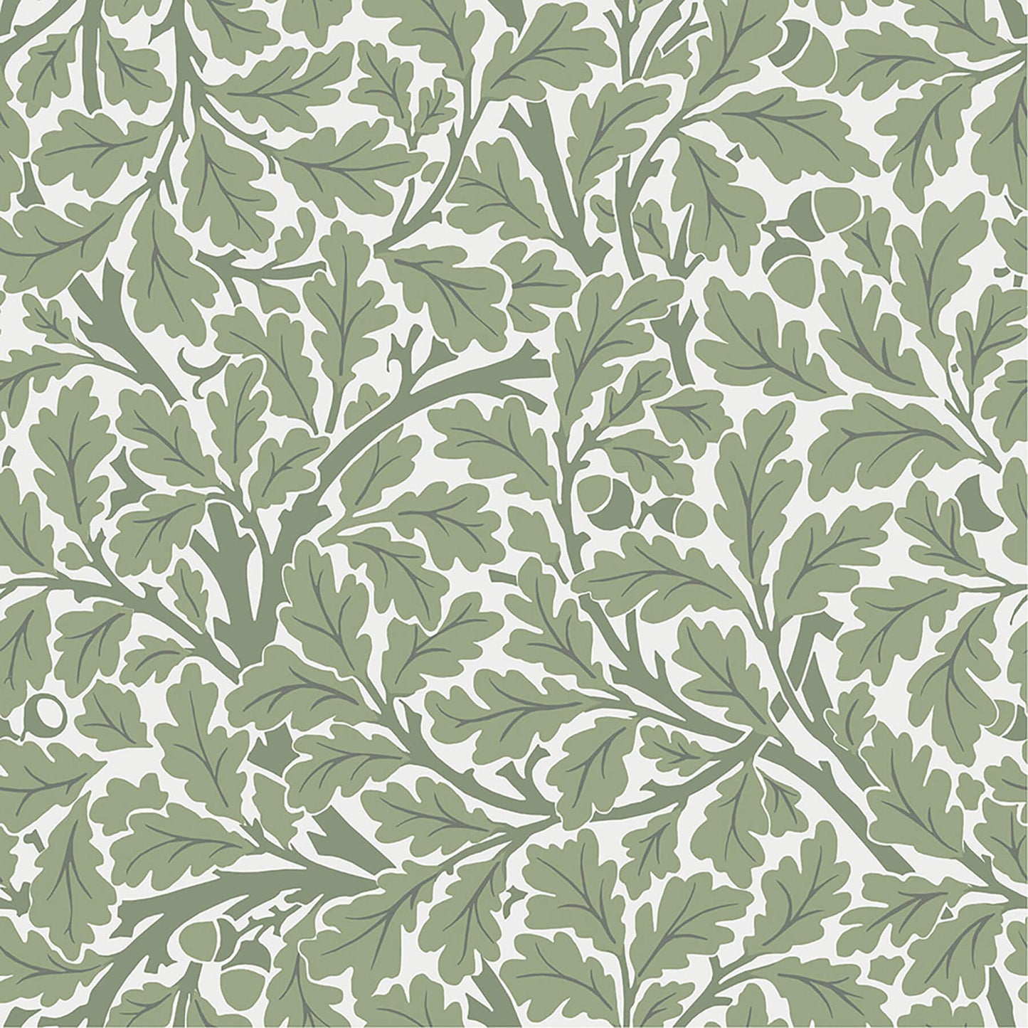 Hidden Treasures Oak Tree Wallpaper