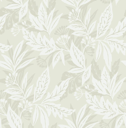 Anita Wallpaper
