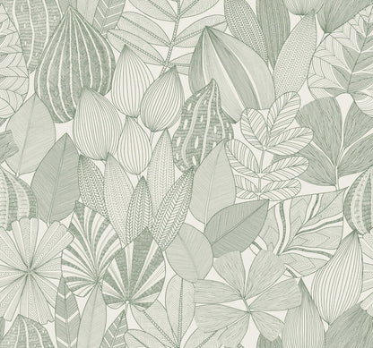 Mathias Botanical Wallpaper