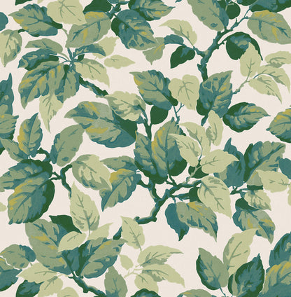 Westbury Forest Canopy Leaf Wallpaper