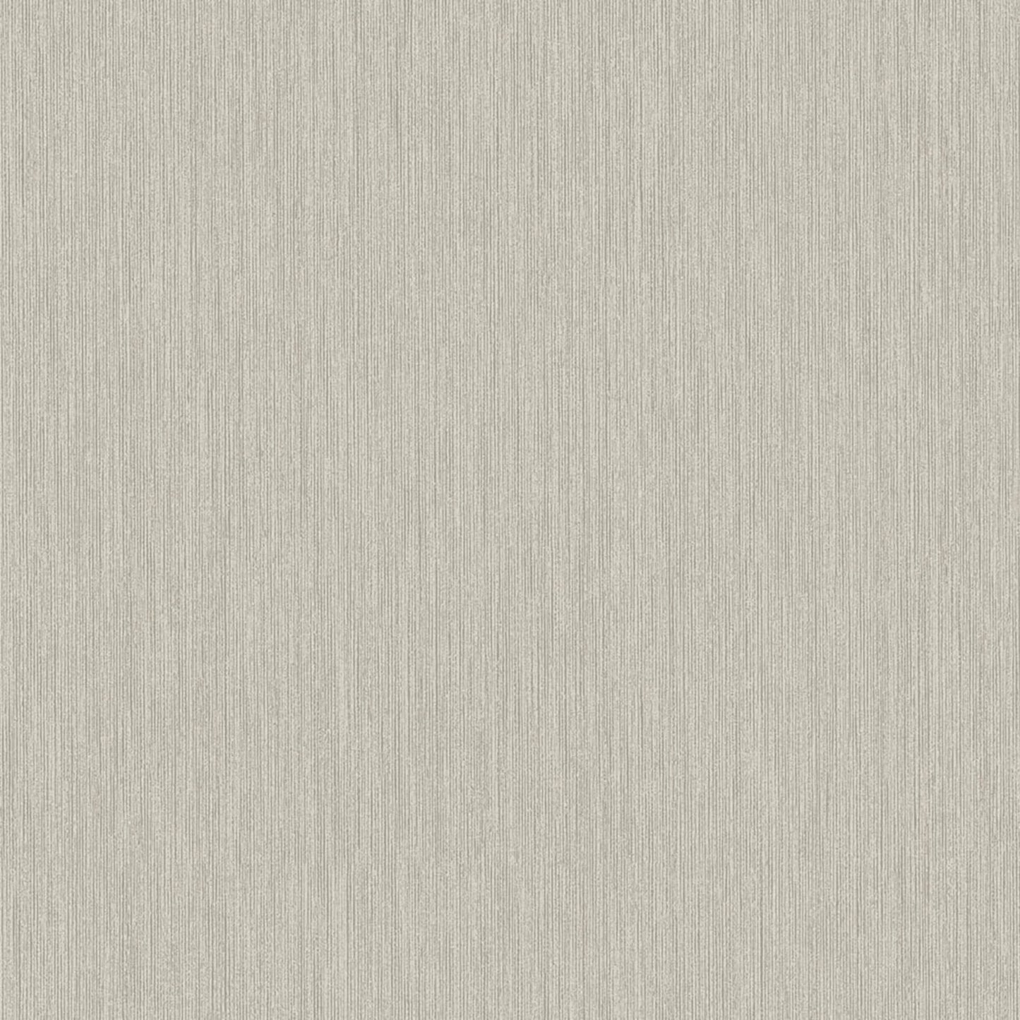 Hidden Treasures Midolin Fossil Wallpaper