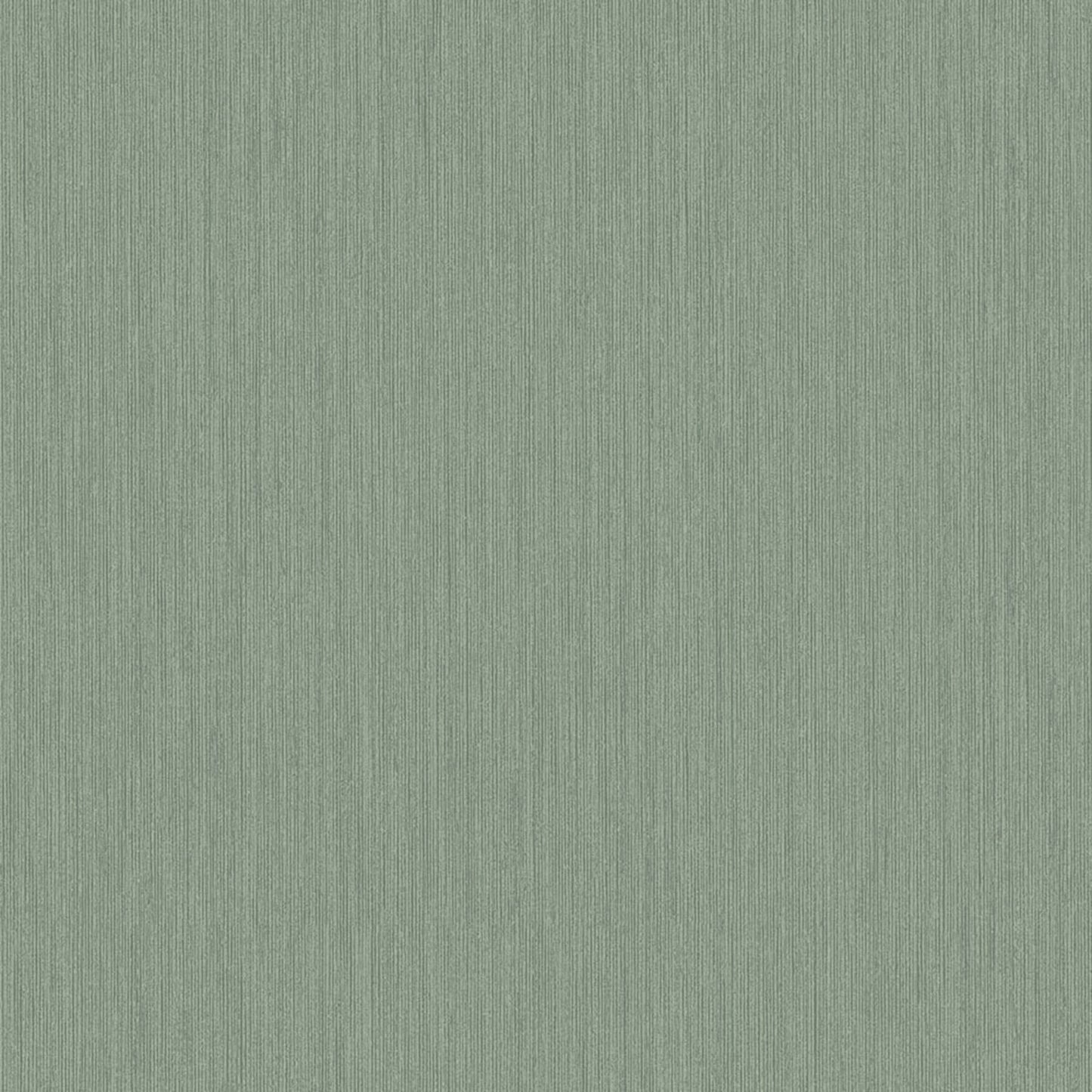 Hidden Treasures Midolin Tallbarr Wallpaper