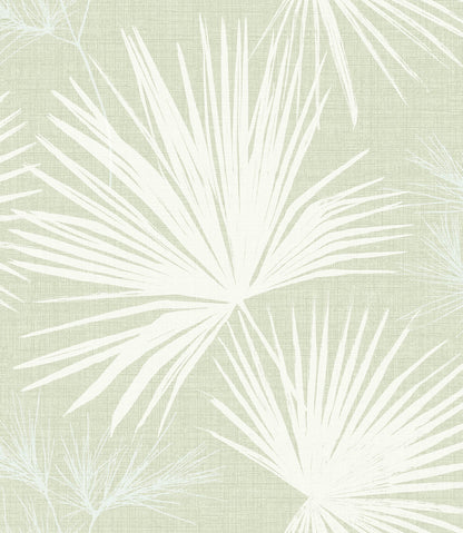 Sea Salt Hatteras Wallpaper