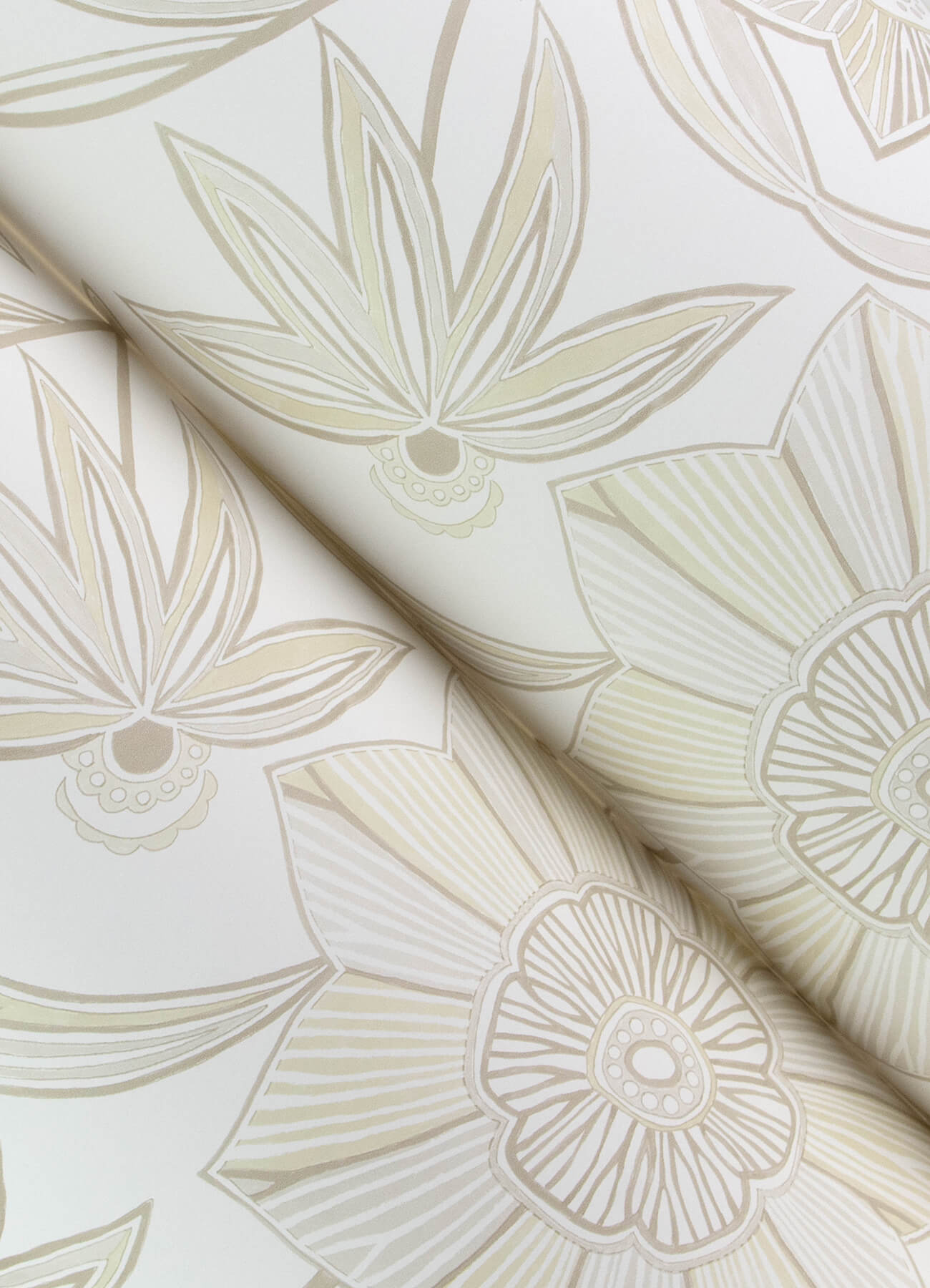 Sea Salt Star Flower Wallpaper