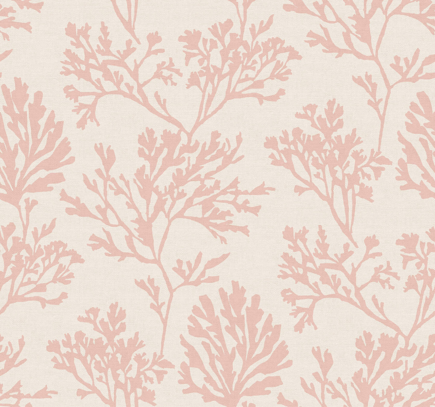 Sea Salt Tortuga Wallpaper