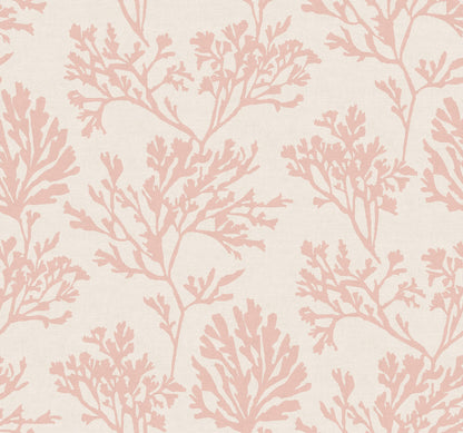 Sea Salt Tortuga Wallpaper