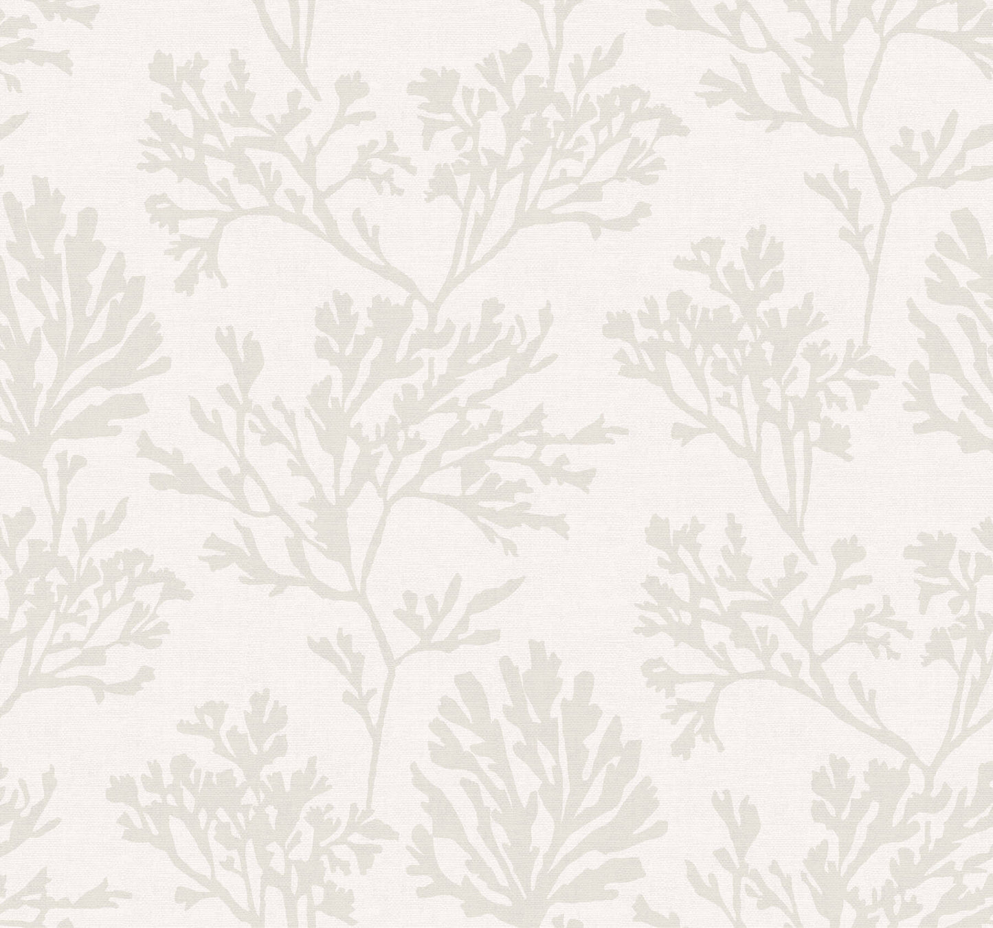 Sea Salt Tortuga Wallpaper