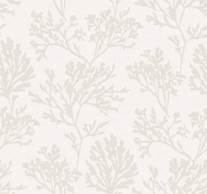 Sea Salt Tortuga Wallpaper