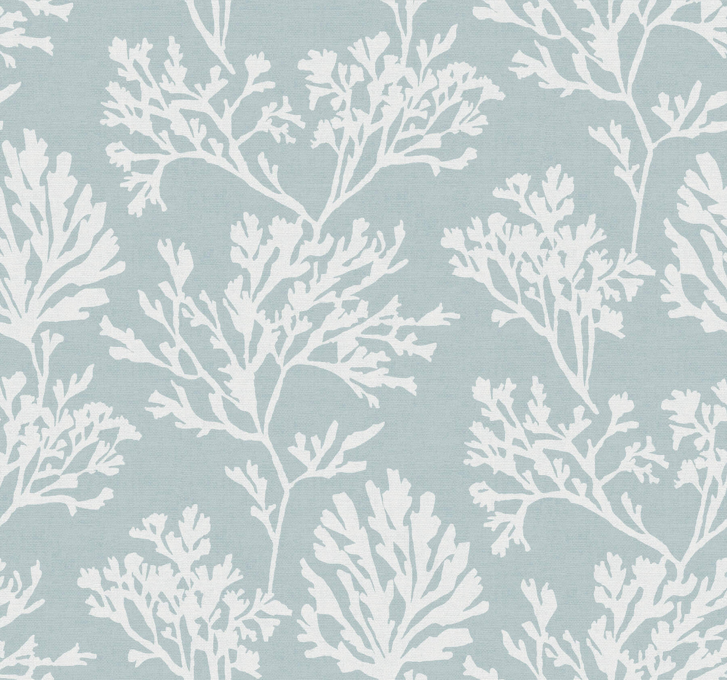 Sea Salt Tortuga Wallpaper