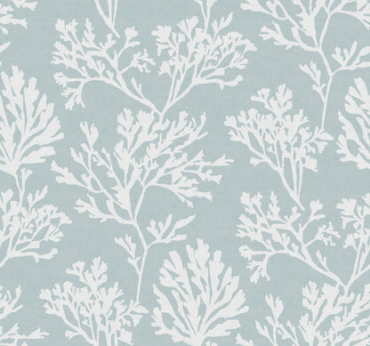 Sea Salt Tortuga Wallpaper