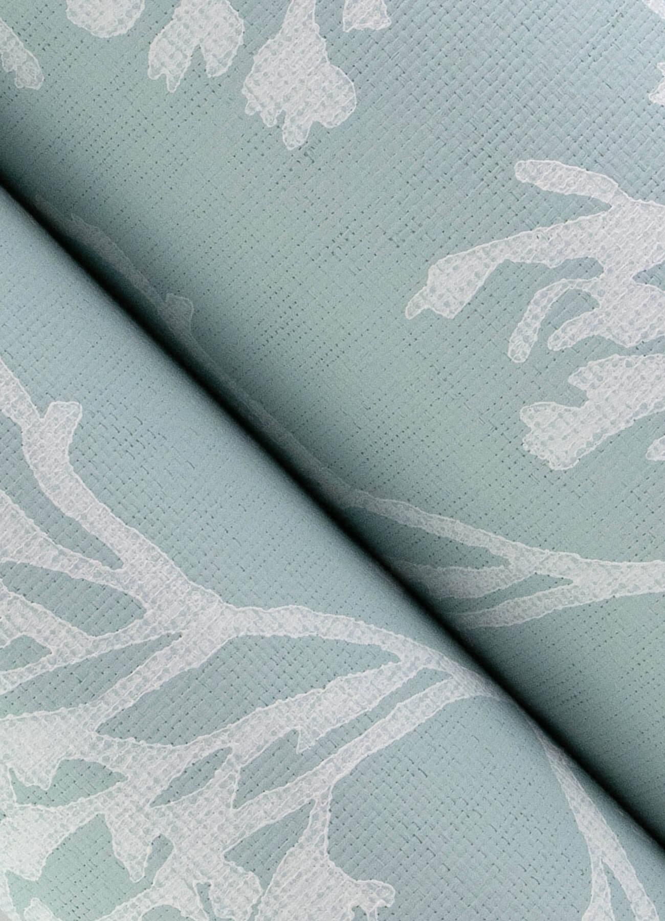 Sea Salt Tortuga Wallpaper