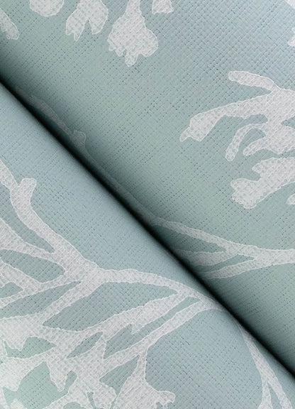 Sea Salt Tortuga Wallpaper