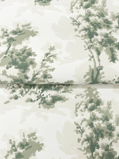 Sainsbury Wallpaper