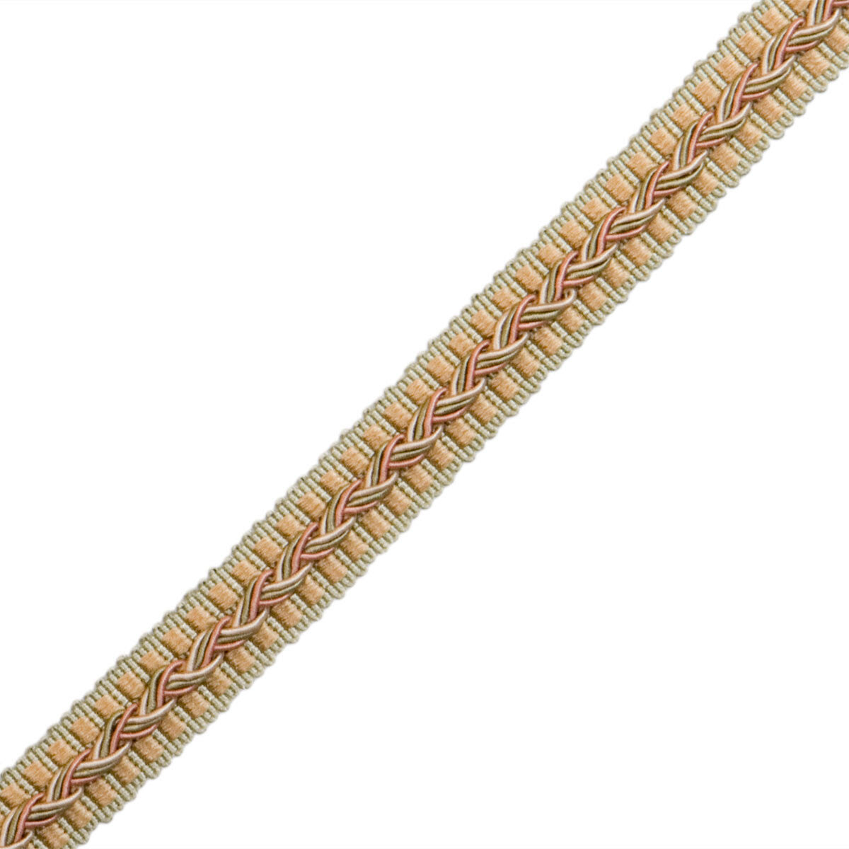 1/2" Normandy Silk Gimp Trim by Samuel & Sons in Printemps