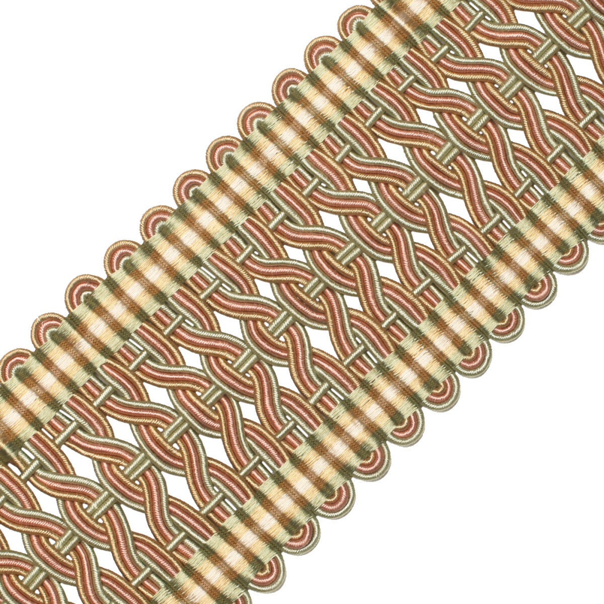 2.5" Normandy Silk Crete Trim by Samuel & Sons in Printemps