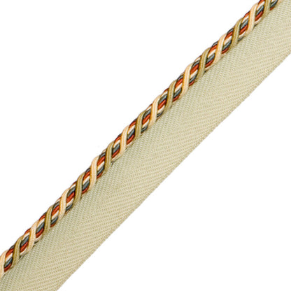 1/4" Normandy Silk Cord With Tape Trim by Samuel & Sons in Fleurs