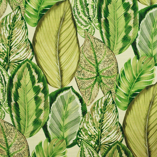 TRH2609 Fabric