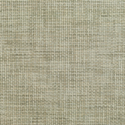 TRH3145 Fabric