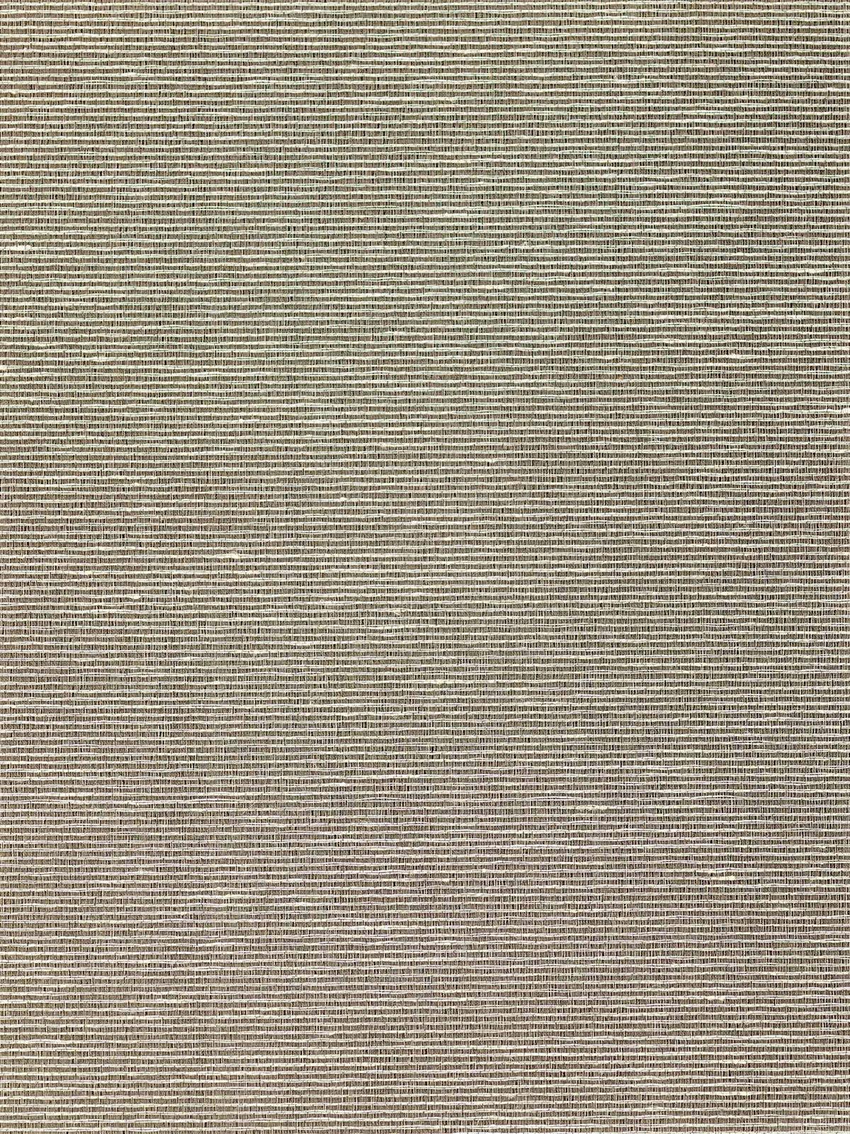 Bailey Wallpaper by Holland & Sherry in Steep Holm