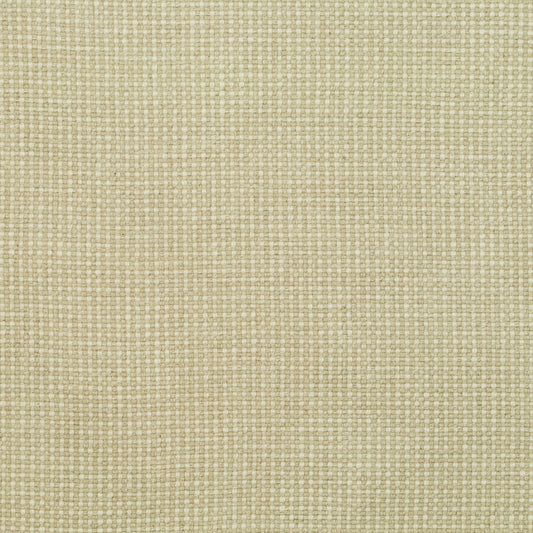 TRH2891 Fabric