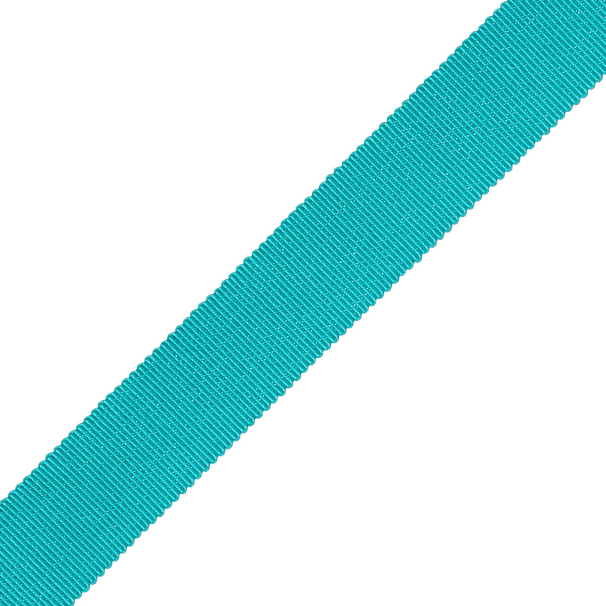 1" French Grosgrain Ribbon Trim by Samuel & Sons in Carib