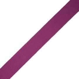 1" French Grosgrain Ribbon Trim by Samuel & Sons in Violet