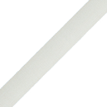 1" French Grosgrain Ribbon Trim by Samuel & Sons in Mist