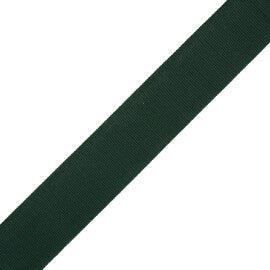 1" French Grosgrain Ribbon Trim by Samuel & Sons in Juniper