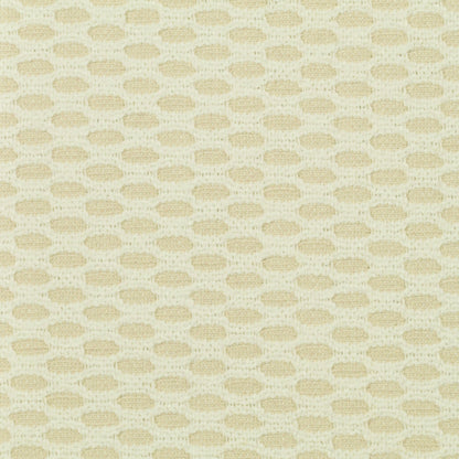 TRH2567 Fabric