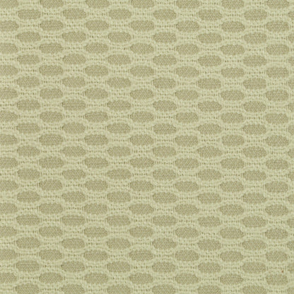 TRH2567 Fabric