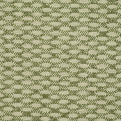 TRH2567 Fabric