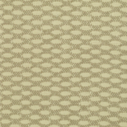 TRH2567 Fabric
