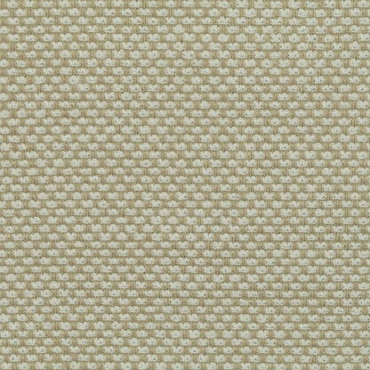 TRH2780 Fabric