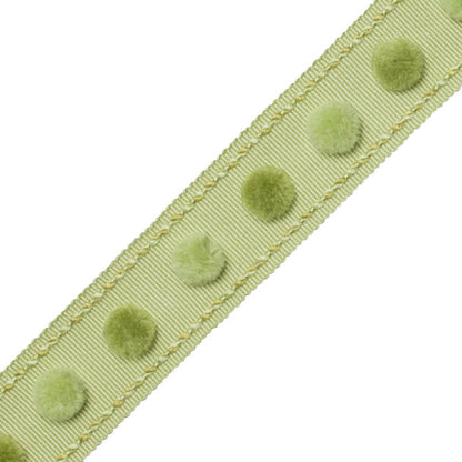 1.4" Dolce Pom Pom Border Trim by Samuel & Sons in Key Lime Pie