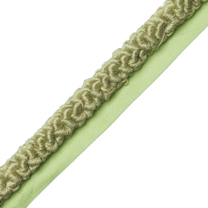 Dolce Marabout Trim by Samuel & Sons in Key Lime Pie