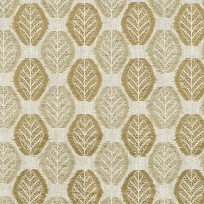 TRH2504 Fabric