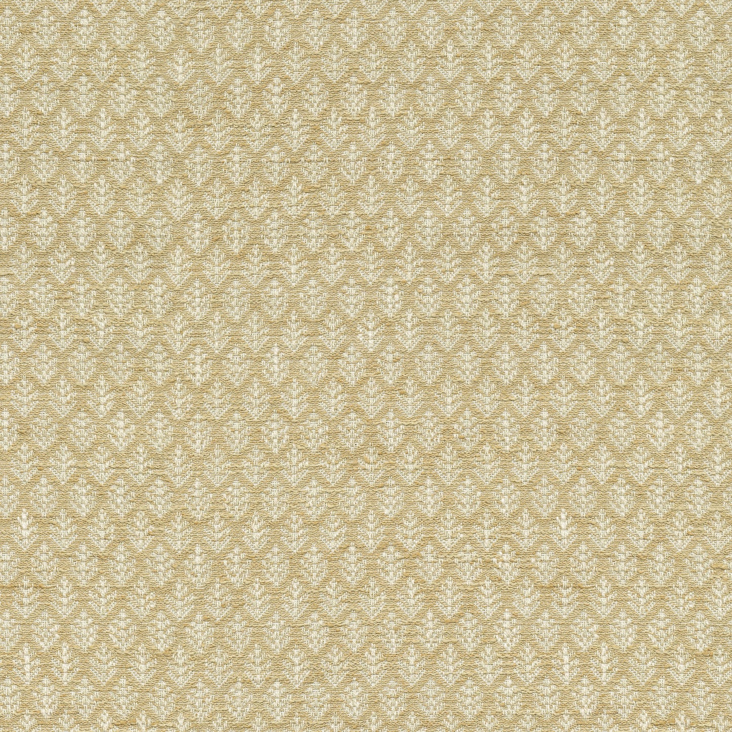 TRH2470 Fabric