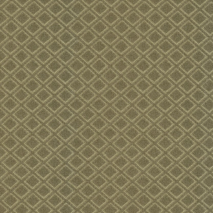 TRH3014 Fabric